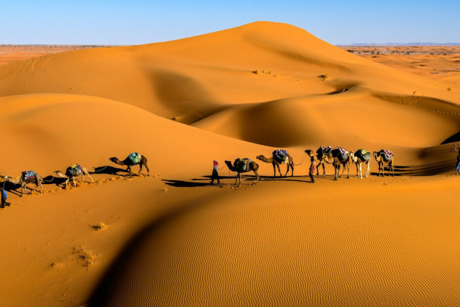 062222_week25_Manna_Ceized