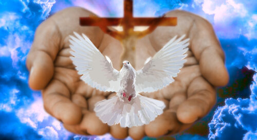 Bible Message – Week 28. Our Identity In A Covenant God. Pst. Johan Venter