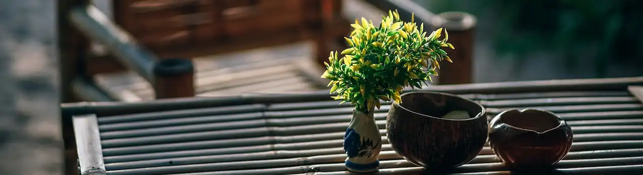 Garden and Outdoor Tips for Creating Your Own Oasis. 1 Garden and Outdoor