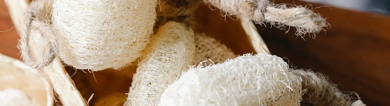 7 Powerful Steps to Transform Your Personal Care Routine 15 Personal Care