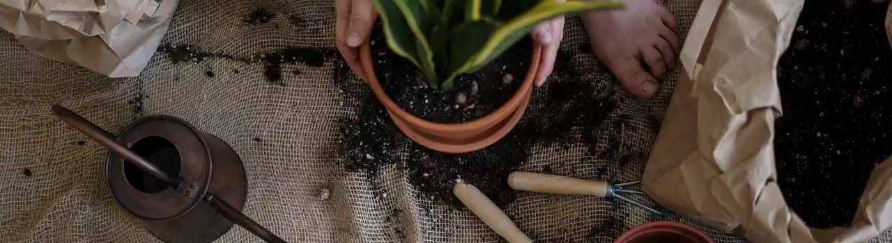 Garden and Outdoor Tips for Creating Your Own Oasis. 13 Garden and Outdoor