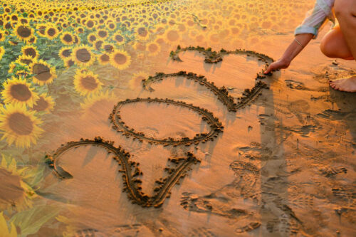 A Retrospective – Seeds of Hope Sown, Roots of Harmony Grown, 2023 in Review.