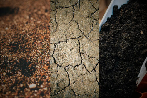 Gardening for Seniors: Gardening Soil – Part 2.