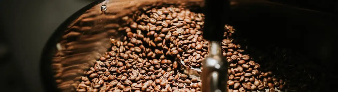 Home Brewing 101: Essential Equipment for Coffee Lovers on a Budget. 8 Coffee Lovers