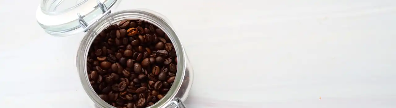 Home Brewing 101: Essential Equipment for Coffee Lovers on a Budget. 9 Coffee Lovers