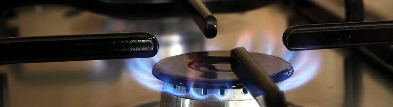 Kitchen Appliances on a Budget: Affordable Essentials for Delicious Results. 6 Kitchen Appliances