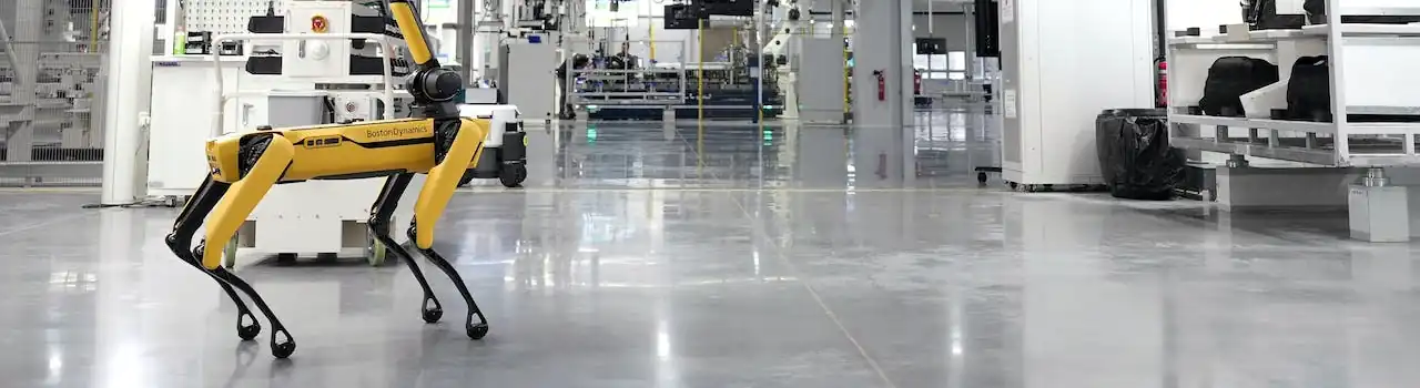 AI Everywhere: From Your Phone to Your Fridge (and Beyond!) 13 AI Everywhere