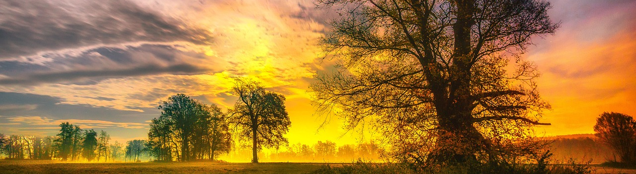 Wedergeboorte en die Sonde Afsterwe 1 Wedergeboorte en die Sonde Afsterwe