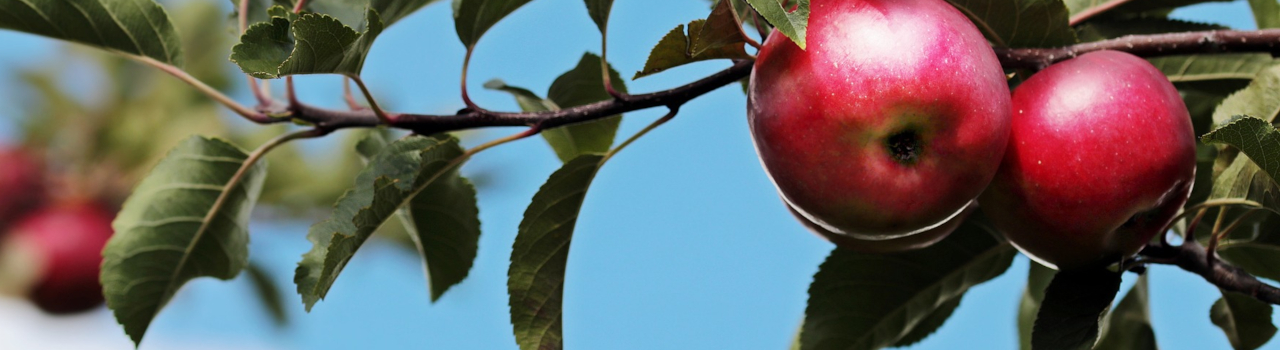 Embracing Your Identity in Christ 1 Identity In Christ Cover