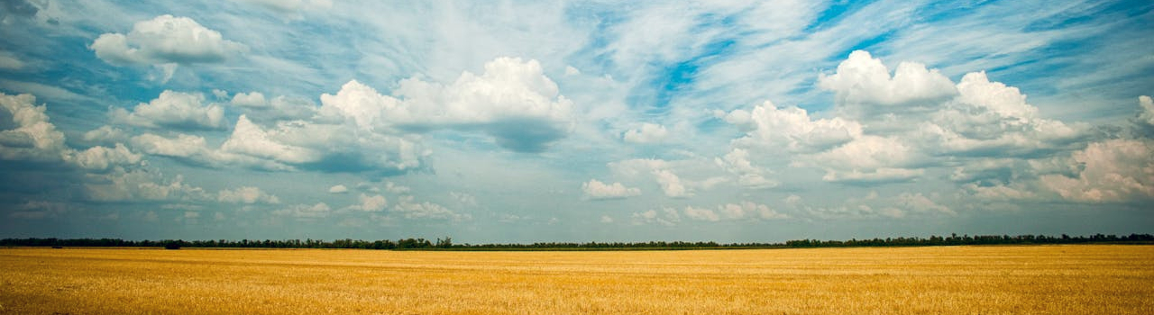 In Christus - Die Wedergeboorte - Ep2 1 Wedergeboorte Cover