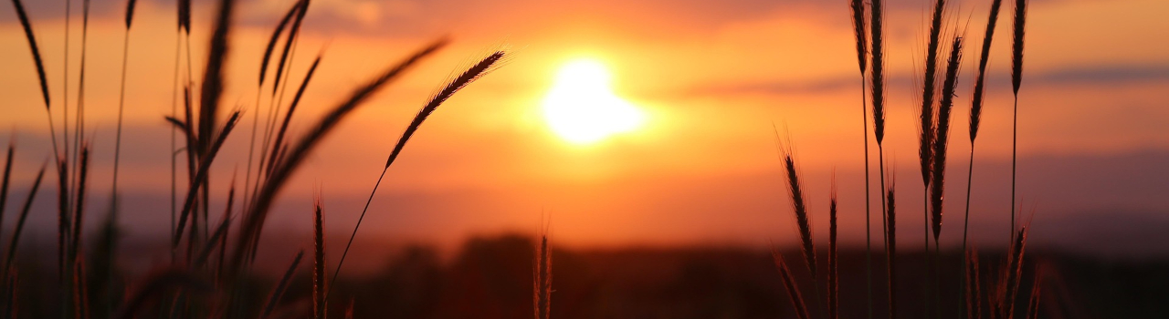 Christus in ons: Die Krag van Sy Sterfte en Opstanding 1 Christus in ons