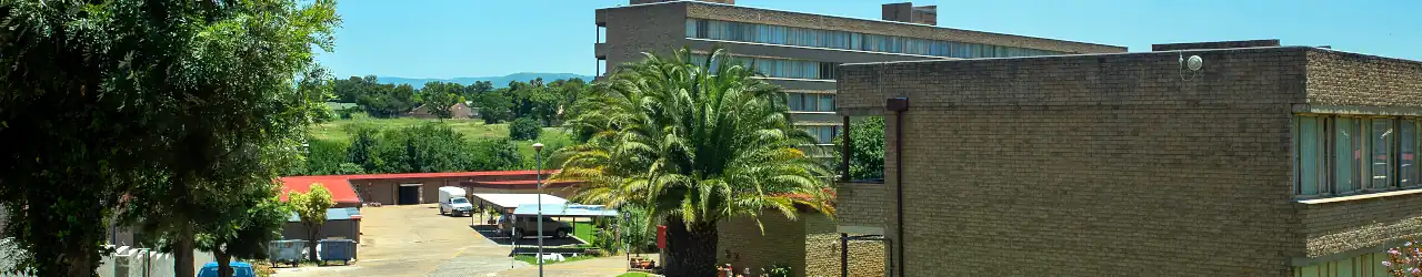 Creating a Nurturing Home: La Gratitude's Accommodation and Heartwarming Testimonials. 1 A Nurturing Home