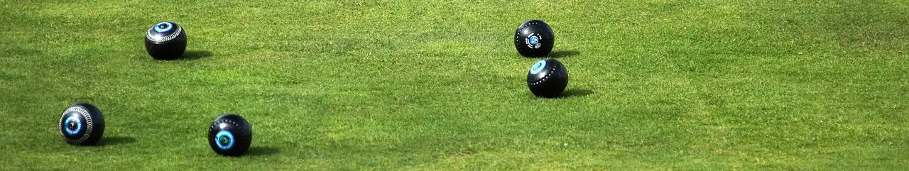 Bowls Unveiled: Exploring the Timeless Sport from Tradition to Popular Culture 2 Bowls