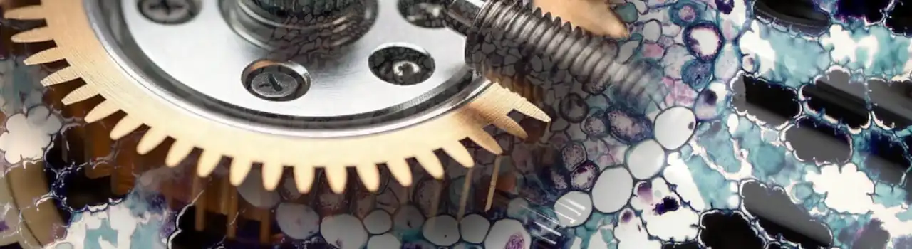 How Cellular Mechanisms Play a Role in Neurodegenerative Diseases - Part 6. 3 Cellular Mechanisms