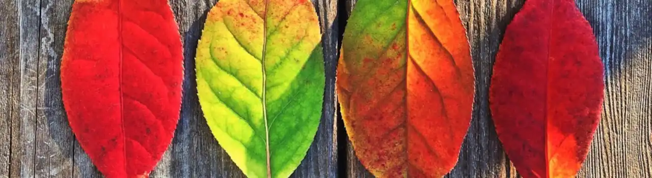 Unleashing Your Inner Genius - How Creativity Can Enrich Your Retirement 3 Creativity