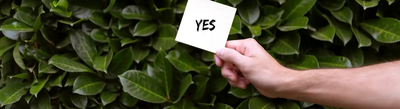 8 Powerful Strategies for Cultivating Optimism in Your Daily Life 1 Cultivating Optimism