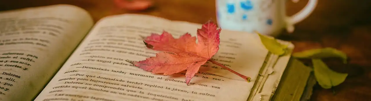 Finding Resources for Alzheimer's Care in South Africa - Part 4. 3 Finding Resources for Alzheimer's Care