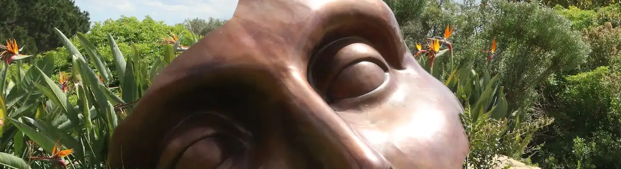 Frontotemporal Dementia (FTD): A Comprehensive Guide for Patients and Families - Part 4. 4 Frontotemporal Dementia