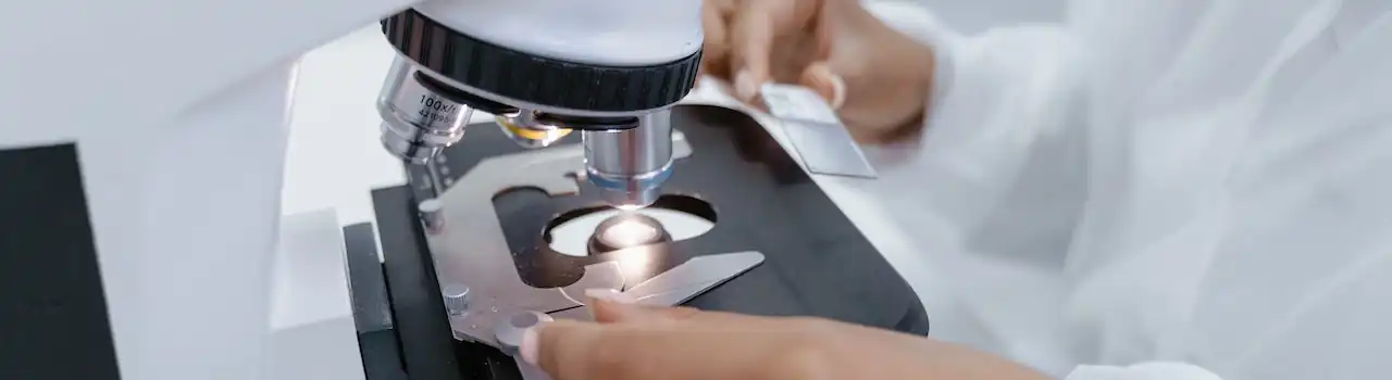 The Future of Alzheimer's Care - Part 8. 3 future of Alzheimer's care