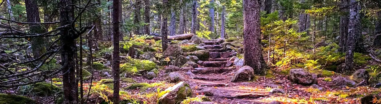 Gardening for Seniors - Garden Types - Part 3. 2 Garden Types