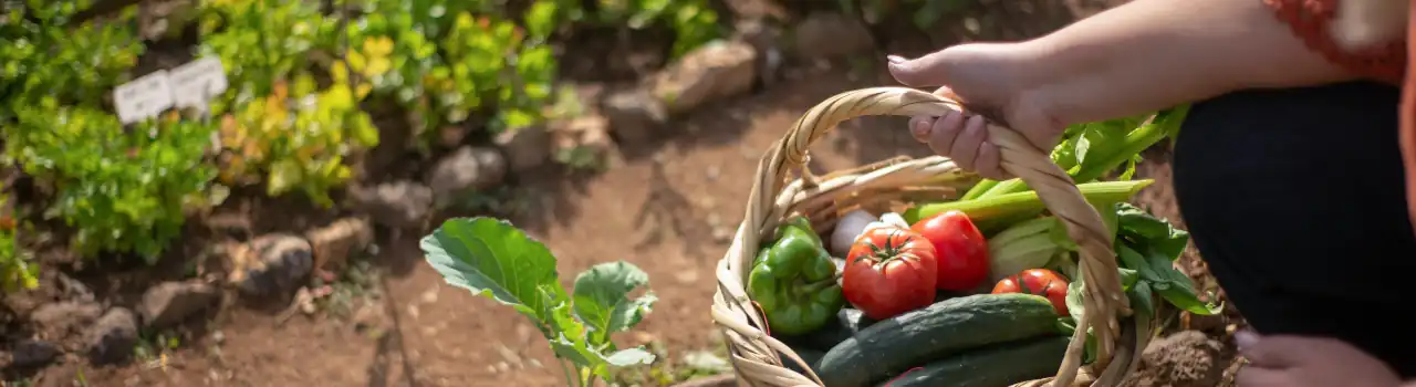 Gardening for Seniors - Garden Types - Part 3. 5 Garden Types