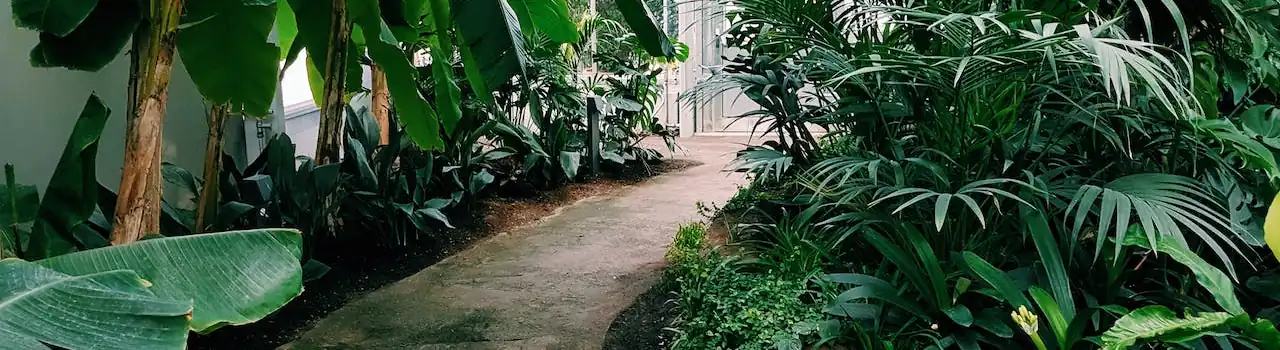 Embracing Nature's Therapy: Introducing Our Gardening for Seniors Series 2 Gardening for Seniors