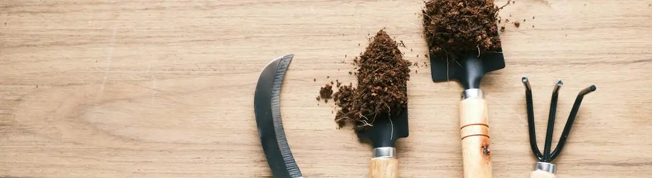 Embracing Nature's Therapy: Introducing Our Gardening for Seniors Series 6 Gardening for Seniors