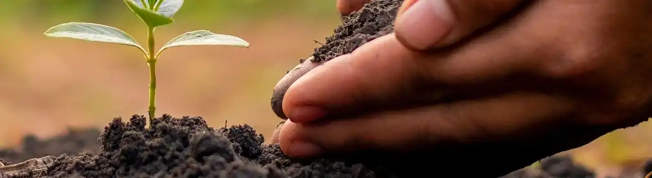 Gardening for Seniors: Gardening Soil - Part 2. 2 Gardening Soil