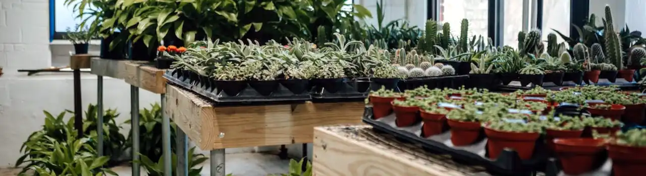 Gardening for Seniors: Gardening Soil - Part 2. 3 Gardening Soil