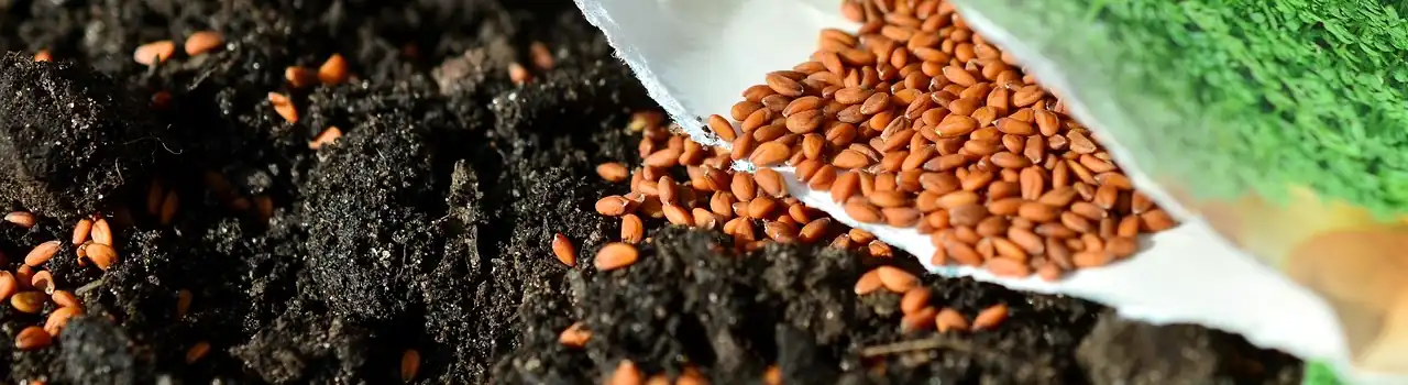 Gardening for Seniors: Gardening Soil - Part 2. 5 Gardening Soil