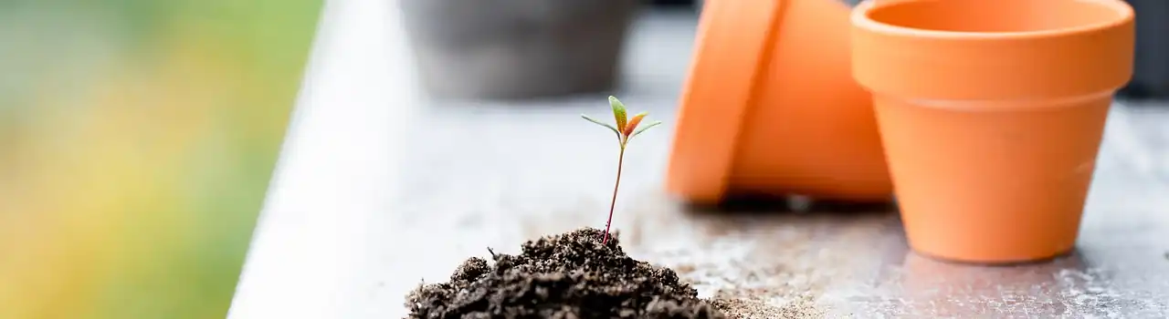 Gardening for Seniors: Gardening Soil - Part 2. 8 Gardening Soil