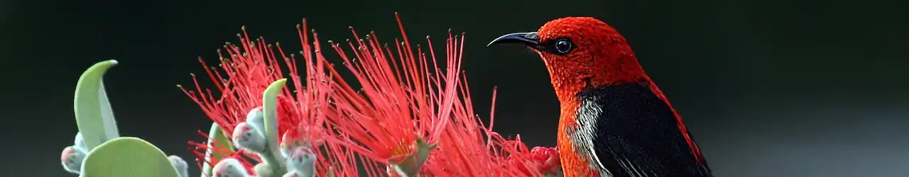 Reflecting on God's Creation: Discovering the Beauty and Lessons Within. 4 God's Creation