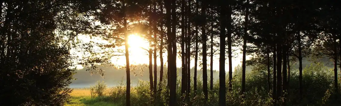 You Will See The Goodness Of The Lord - Psalm 27. 5 Goodness Of The Lord