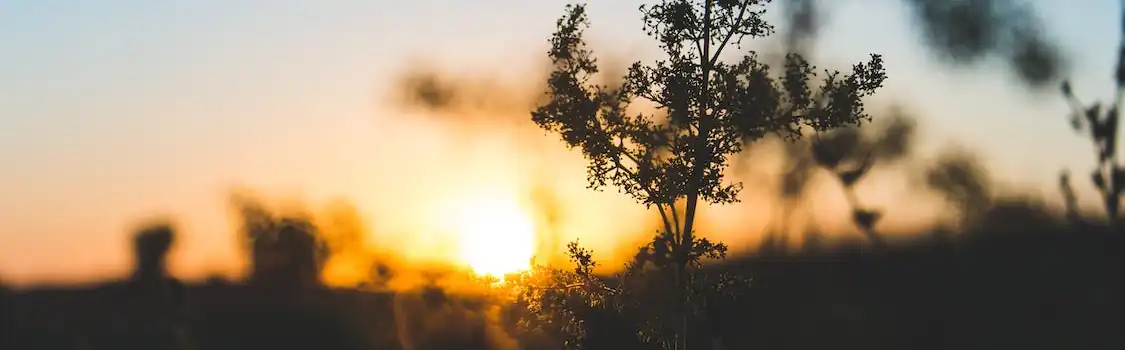 You Will See The Goodness Of The Lord - Psalm 27. 1 Goodness Of The Lord