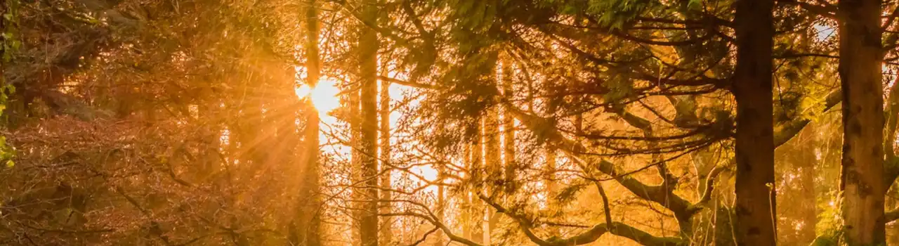 You Will See The Goodness Of The Lord - Psalm 27. 2 Goodness Of The Lord