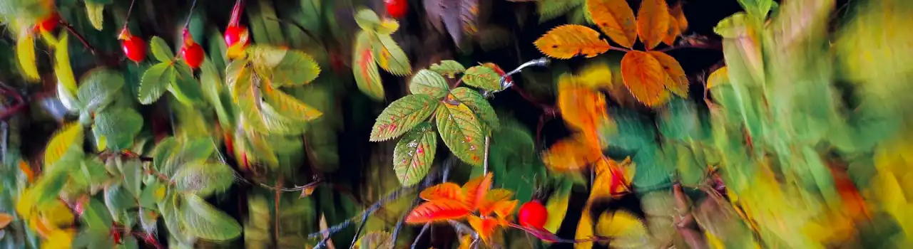 An Inspirational Message of Hope in Retirement: Finding Purpose and Joy Through Faith 1 Life of Hope