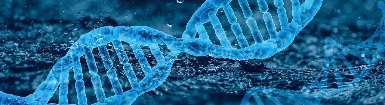 Beyond Alzheimer's: Understanding Neurodegenerative Diseases 1 Neurodegenerative Diseases