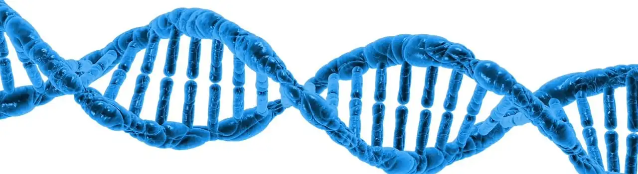 Neurogenetics: How Genetics Plays a Role in Neurodegenerative Diseases - Part 5. 3 Neurogenetics