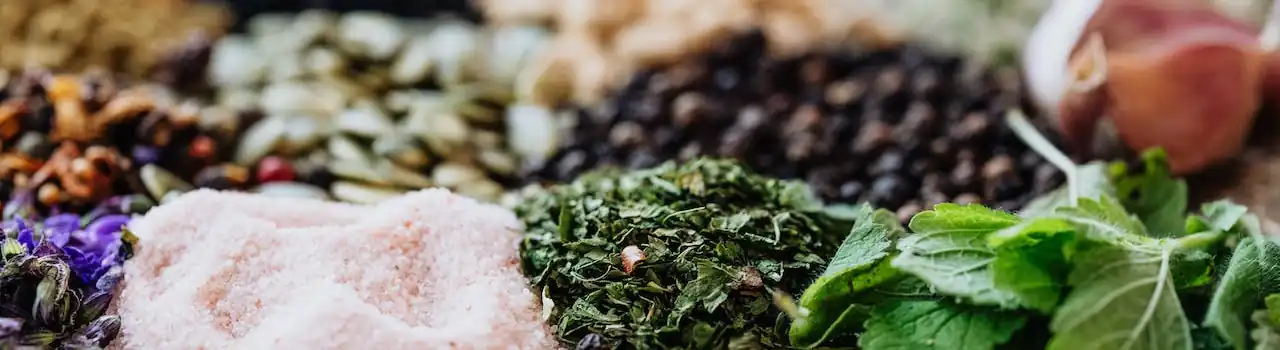 Bloom Beautifully: Choosing Perfect Plants for Senior Gardeners - Part 4. 2 Plants for Senior Gardeners