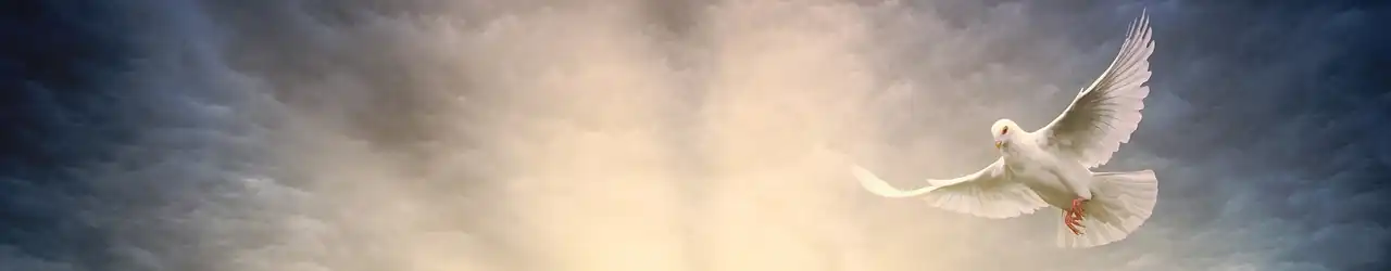 Safeguarding God's Law: The Ark's Profound Significance Unveiled - Part 3. 1 Safeguarding God's Law