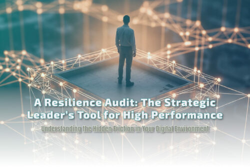 Resilience Audit